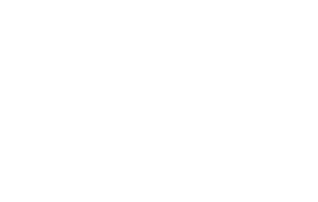 Spandition-Logo